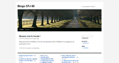Desktop Screenshot of cfj65.pressebook.fr