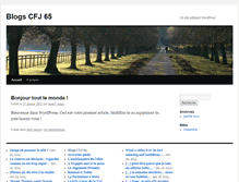 Tablet Screenshot of cfj65.pressebook.fr